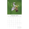 The Gifted Stationery 2024 Square Wall Calendar, Orchids, 16-Month Floral Theme With 180 Reminder Stickers (12x12 In)