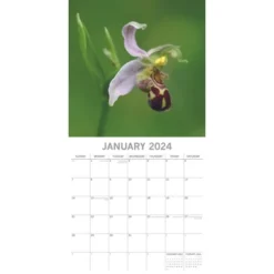 The Gifted Stationery 2024 Square Wall Calendar, Orchids, 16-Month Floral Theme With 180 Reminder Stickers (12x12 In)