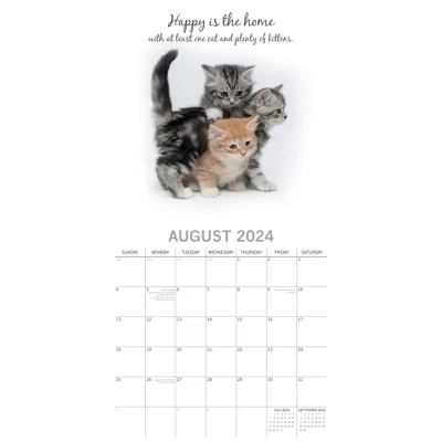 The Gifted Stationery 2024 Square Wall Calendar, Cute Kittens, 16-Month Animals Theme With 180 Reminder Stickers (12 X 12 In) 2 The Gifted Stationery 2024 Square Wall Calendar, Cute Kittens, 16-Month Animals Theme With 180 Reminder Stickers (12 X 12 In) - Image 2