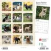 Browntrout 2024 Wall Calendar 12"x12" French Bulldogs