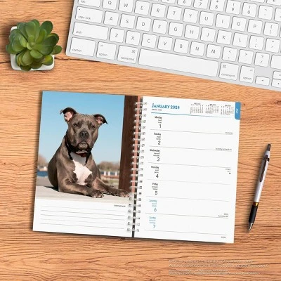 Browntrout 23-2024 Weekly/Monthly Planner 7.5"x7.125" American Pit Bull Terriers 3 Browntrout 23-2024 Weekly/Monthly Planner 7.5"x7.125" American Pit Bull Terriers - Image 3