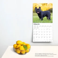 Browntrout 2024 Wall Calendar 12"x12" French Bulldogs 5 Browntrout 2024 Wall Calendar 12"x12" French Bulldogs -Smart Stationery Deals Store GUEST 27ee2f6d 5574 47ac 81fd 53798e24608b