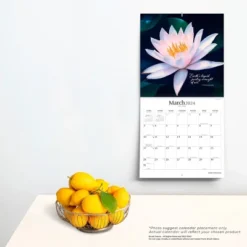 Brush Dance 2024 Wall Calendar 12"x12" Jewel Of The Lotus 5 Brush Dance 2024 Wall Calendar 12"x12" Jewel Of The Lotus -Smart Stationery Deals Store GUEST 2956d35f 96c7 42ea a044 e17929bbe05e