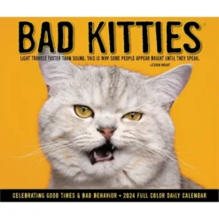 Willow Creek Press 2024 Daily Desk Calendar 5.2"x6.2" Bad Kitties -Smart Stationery Deals Store GUEST 3c28d4c2 73ff 47eb b442 3b37608b036e