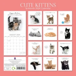 The Gifted Stationery 2024 Square Wall Calendar, Cute Kittens, 16-Month Animals Theme With 180 Reminder Stickers (12 X 12 In) 6 The Gifted Stationery 2024 Square Wall Calendar, Cute Kittens, 16-Month Animals Theme With 180 Reminder Stickers (12 X 12 In) -Smart Stationery Deals Store GUEST 60cabb25 966a 4e3f 849d 5c1603f3387e