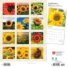 Browntrout 2024 Wall Calendar 12"x12" Sunflowers