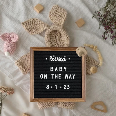Flash Furniture Gracie Felt Letter Board With Wooden Frame, 389 PP Letters Including Numbers, Symbols And Icons, Canvas Carrying Case 1 Flash Furniture Gracie Felt Letter Board With Wooden Frame, 389 PP Letters Including Numbers, Symbols And Icons, Canvas Carrying Case
