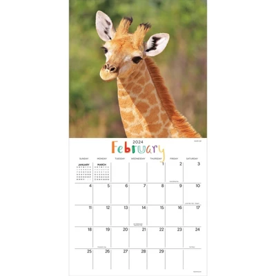 TF Publishing 2024 Wall Calendar 12"x12" Baby Animals 1 TF Publishing 2024 Wall Calendar 12"x12" Baby Animals