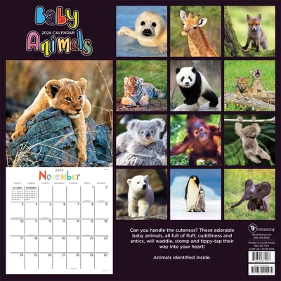TF Publishing 2024 Wall Calendar 12"x12" Baby Animals 4 TF Publishing 2024 Wall Calendar 12"x12" Baby Animals - Image 4