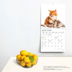StarGifts 2024 Wall Calendar 12"x12" Cute Kittens -Smart Stationery Deals Store GUEST a1de5ee0 6f07 4342 bd0f 44438b19172c