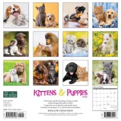 Willow Creek Press 2024 Wall Calendar 12"x12" Kittens & Puppies
