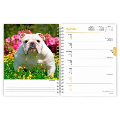 Browntrout 23-2024 Weekly/Monthly Planner 7.5"x7.125" Bulldogs 2 Browntrout 23-2024 Weekly/Monthly Planner 7.5"x7.125" Bulldogs - Image 2