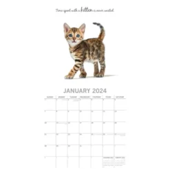 The Gifted Stationery 2024 Square Wall Calendar, Cute Kittens, 16-Month Animals Theme With 180 Reminder Stickers (12 X 12 In)