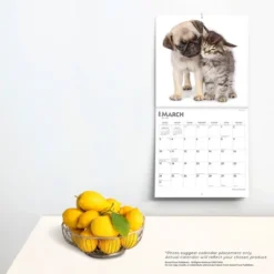 Browntrout 2024 Wall Calendar 12"x12" Kittens & Puppies 5 Browntrout 2024 Wall Calendar 12"x12" Kittens & Puppies -Smart Stationery Deals Store GUEST bf7766fd af35 4f53 a74d e26d6582c209