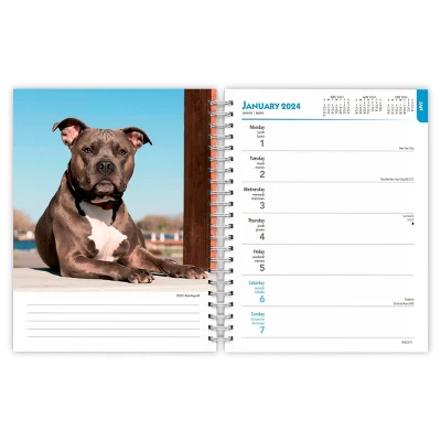 Browntrout 23-2024 Weekly/Monthly Planner 7.5"x7.125" American Pit Bull Terriers 2 Browntrout 23-2024 Weekly/Monthly Planner 7.5"x7.125" American Pit Bull Terriers - Image 2