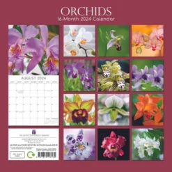 The Gifted Stationery 2024 Square Wall Calendar, Orchids, 16-Month Floral Theme With 180 Reminder Stickers (12x12 In) -Smart Stationery Deals Store GUEST cd8cd450 62fc 4072 99ce 8eebfef7dd00