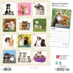 Browntrout 2024 Wall Calendar 12"x12" Kittens & Puppies