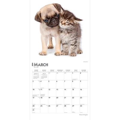 Browntrout 2024 Wall Calendar 12"x12" Kittens & Puppies 2 Browntrout 2024 Wall Calendar 12"x12" Kittens & Puppies - Image 2