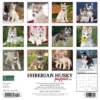 Willow Creek Press 2024 Wall Calendar 12"x12" Just Siberian Husky Puppies