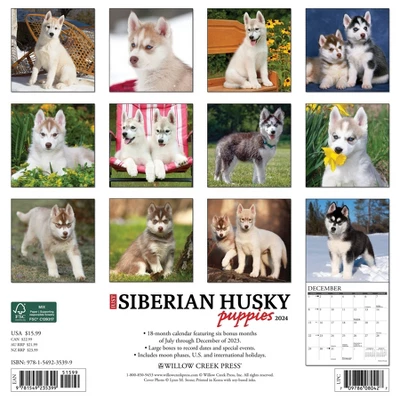 Willow Creek Press 2024 Wall Calendar 12"x12" Just Siberian Husky Puppies 1 Willow Creek Press 2024 Wall Calendar 12"x12" Just Siberian Husky Puppies