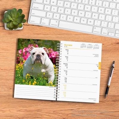 Browntrout 23-2024 Weekly/Monthly Planner 7.5"x7.125" Bulldogs 3 Browntrout 23-2024 Weekly/Monthly Planner 7.5"x7.125" Bulldogs - Image 3