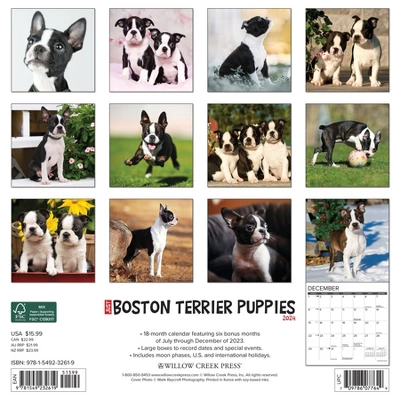 Willow Creek Press 2024 Wall Calendar 12"x12" Just Boston Terrier Puppies 1 Willow Creek Press 2024 Wall Calendar 12"x12" Just Boston Terrier Puppies