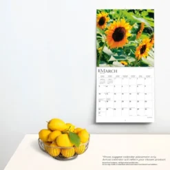 Browntrout 2024 Wall Calendar 12"x12" Sunflowers 5 Browntrout 2024 Wall Calendar 12"x12" Sunflowers -Smart Stationery Deals Store GUEST f779be32 baec 41e2 900d ed1927f655cf